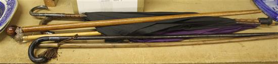 Quantity of sticks/umbrellas